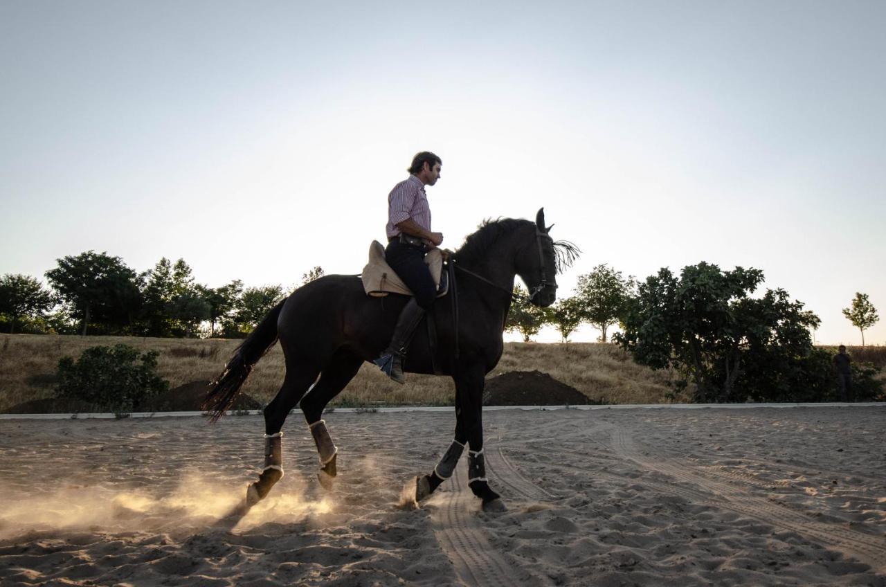 فندق La Dehesa De Don Pedro مونيستيرايو المظهر الخارجي الصورة